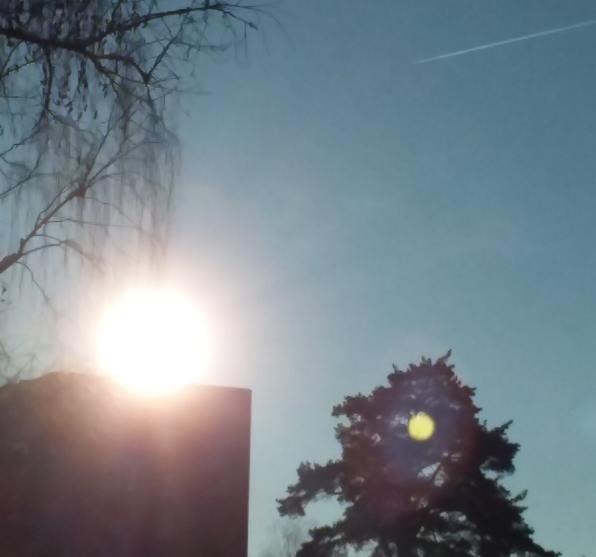 Фотографии из личного архива 