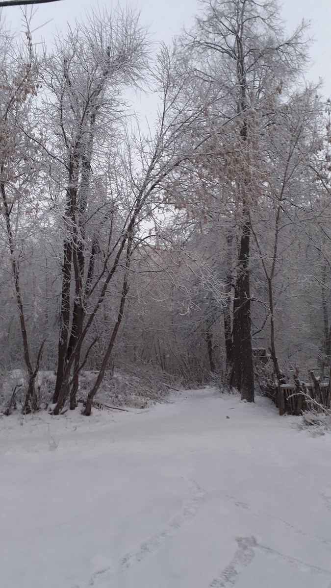Такая красота в Казани
