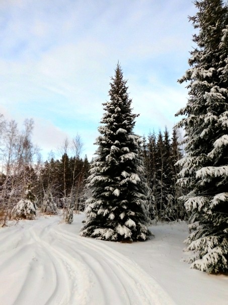 Как же у нас красиво зимой!
