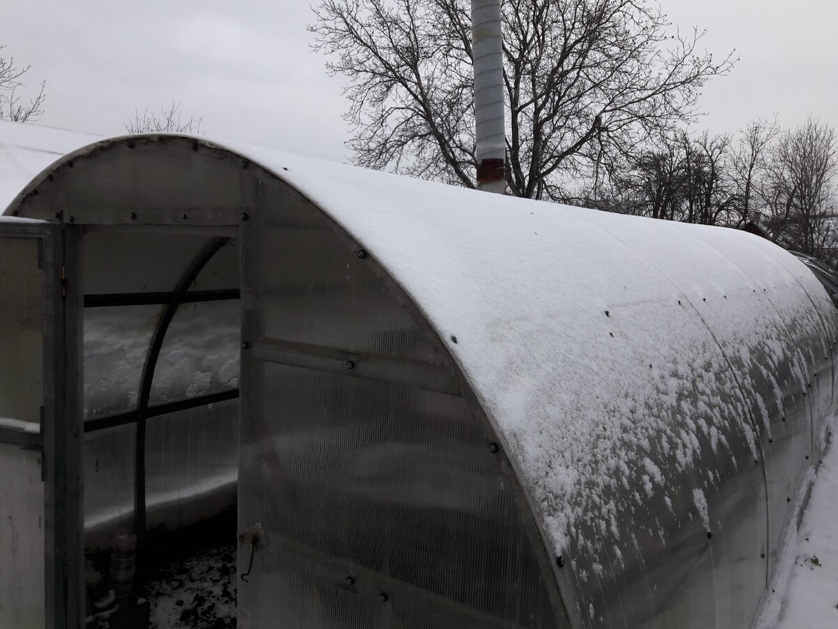Самодельная поликарбонатная арочная теплица из металлических профилей.
