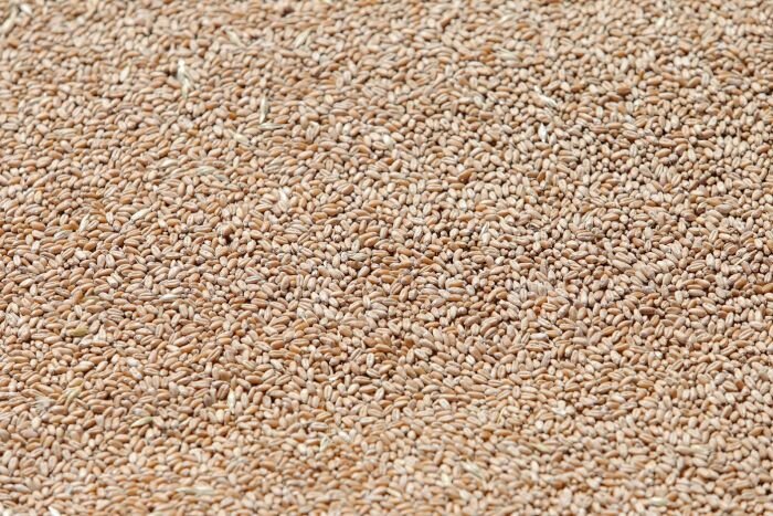 © Фото: ИД «Волгоградская правда» / архив.