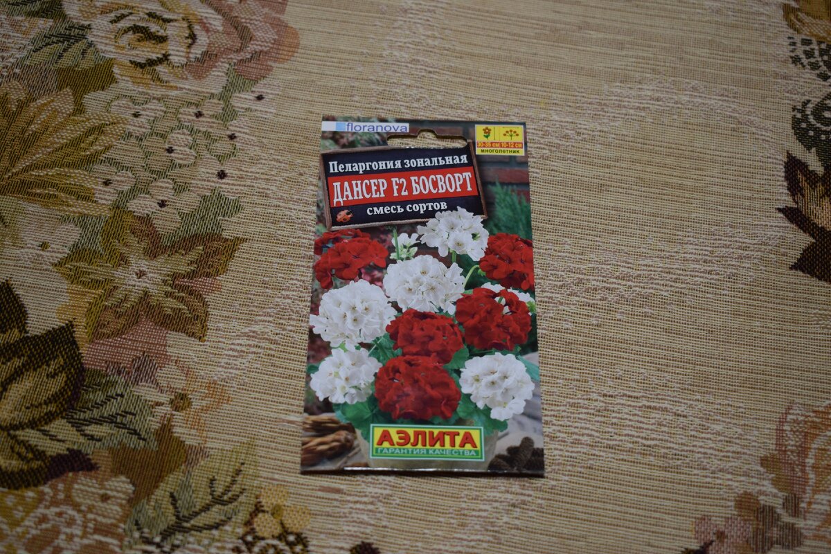 пеларгония зональная