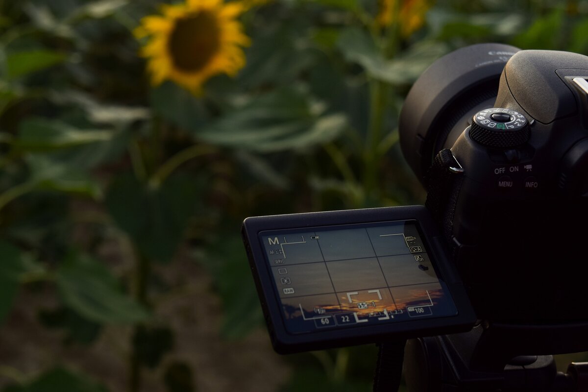 Источник фото: pixabay.com