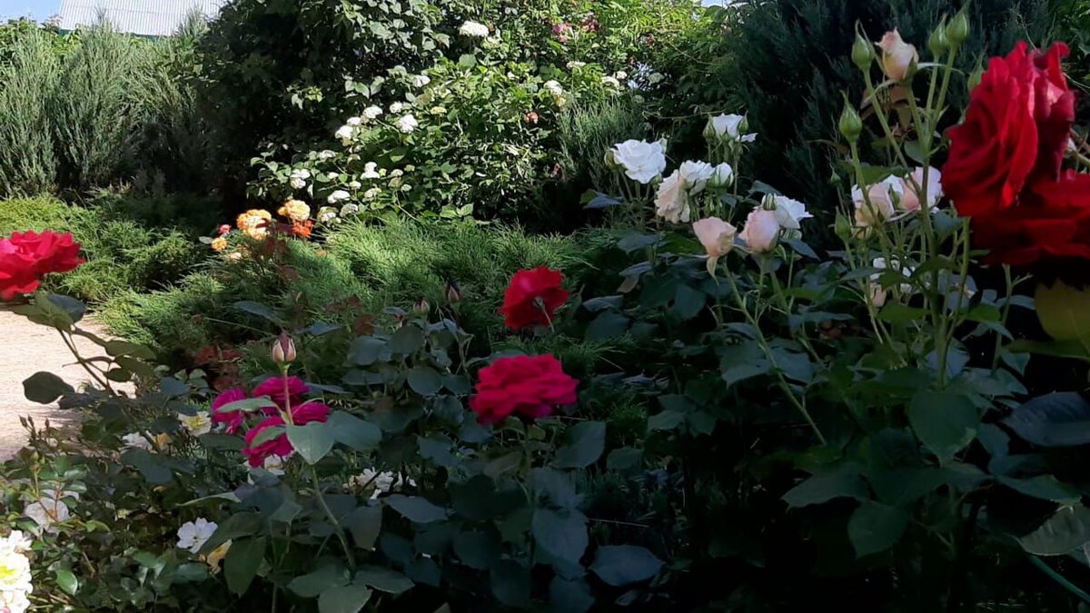 Начало июля 2020 года. 