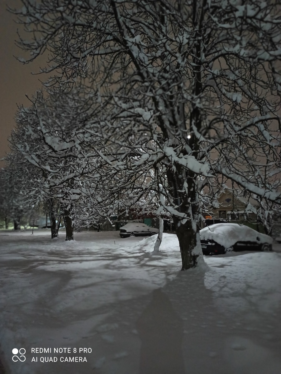 Неожиданный снег