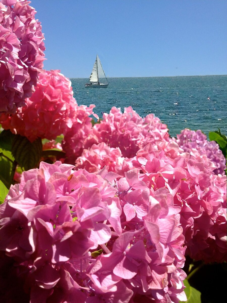 Pinterest
