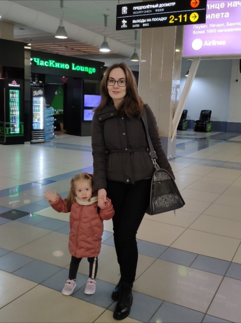 Вот в такой переноске путешествовал на котофей. 