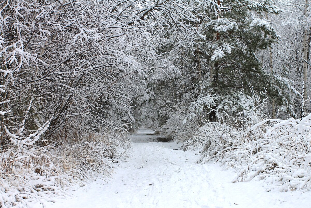 Узкое место – мост через речку Романовка, на которой некогда местные крестьяне мыли золото