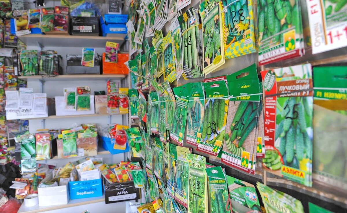 © Фото: ИД «Волгоградская правда» / Сергей Григоренко.