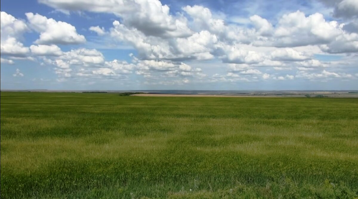 Картинка степь широкая