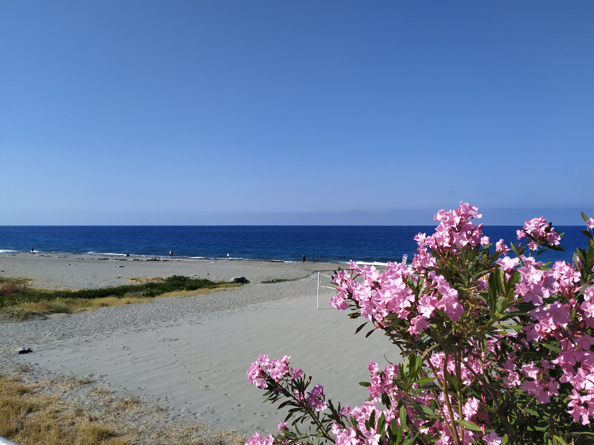 Фотографии нашей делегации у меня нет, поэтому для обложки к публикации использую эту. Спокойное море, хорошее утро, очень немноголюдно. 