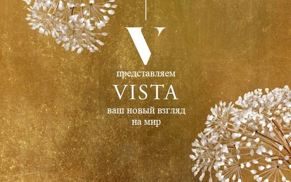 Vista company