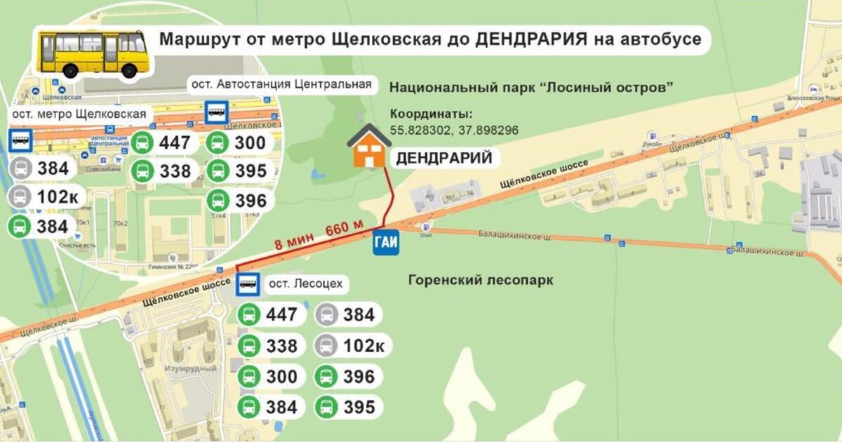 Как добраться на общественном транспорте в москве. Автобус до метро Щелковская. Лосиный остров метро. Маршрутки от метро Щелковская до Балашихи. Дендрарий на Щелковском шоссе.