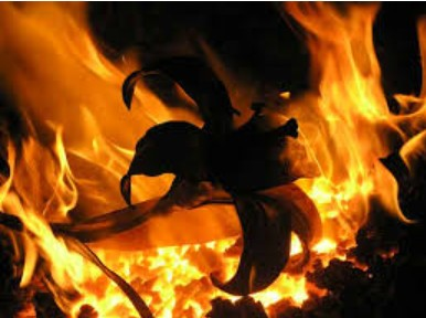 фото с просторов интернета