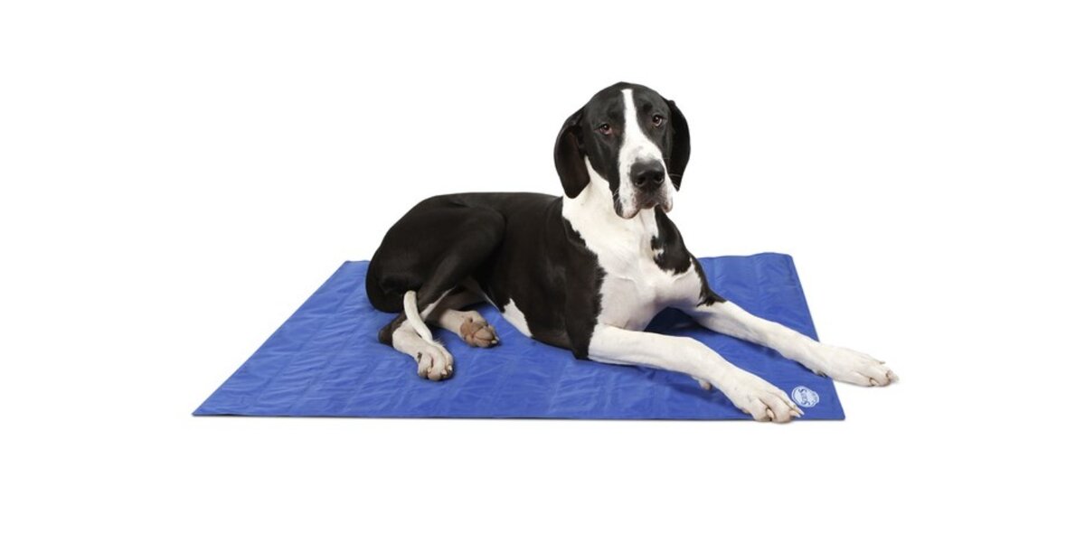 Можно выбрать любой бренд, главное, чтоб собака помещалась на нем полностью