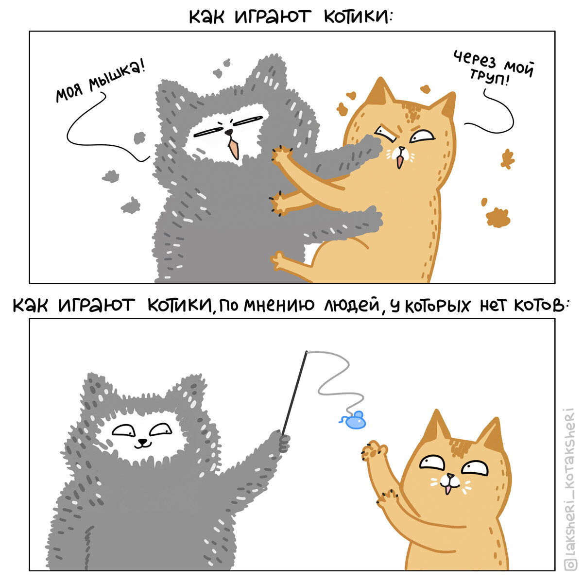 Один из вариантов развлечь котика — взять ещё одного котика! Но  только не ждите, что они будут играть как на втором кадре 😂 Скорее всего они разнесут вашу квартиру 😂