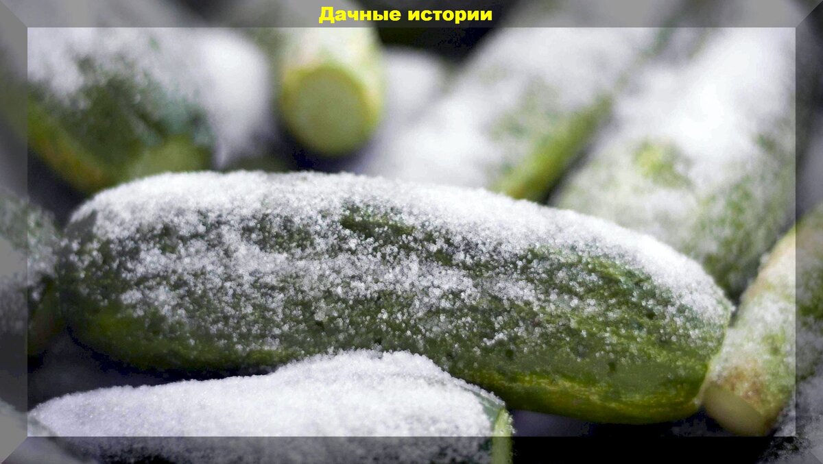 https://vk.com/photo-159774511_457249162
