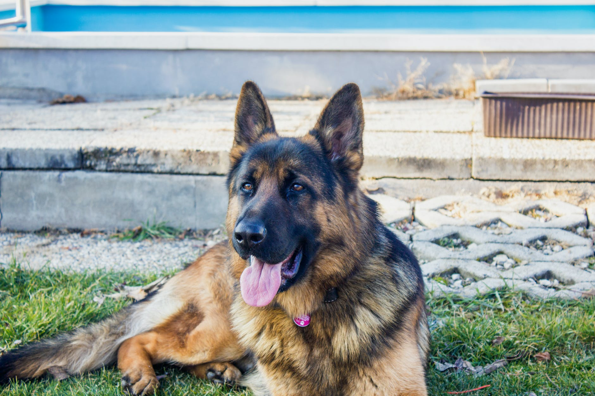 Фото из банка фотографий https://www.pexels.com/ru-ru/photo/342214/