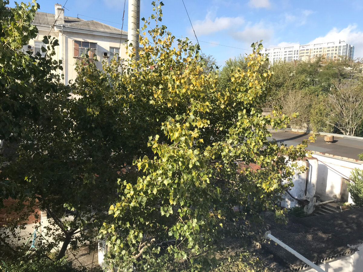 Фото сделано на Iphone 7.
