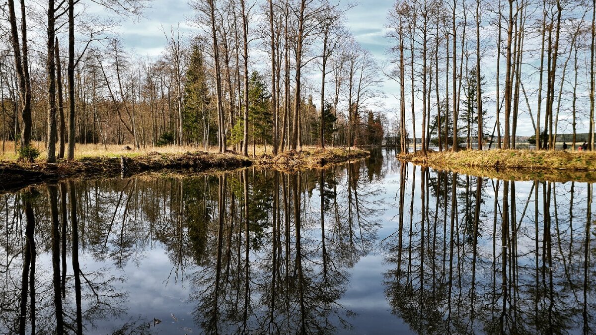 Окрестности Иверского монастыря. Фото Наталии Трубицыной (с).