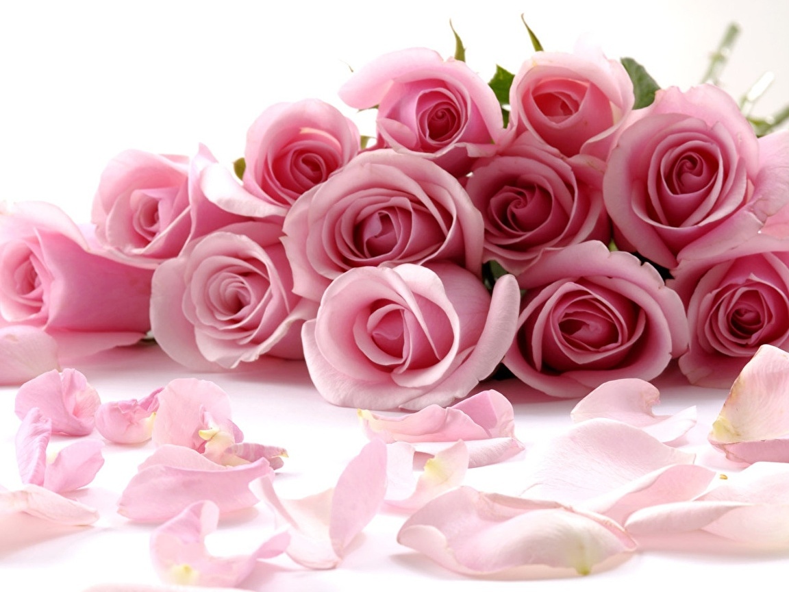 Арт розы, остепо розы, остеохонд розы. Все эти "розы"  слова названия, придумал человек. А что же на самом деле происходит с нами? Откуда эти изменения-симптомы , которым человек дал такие красивые и одновременно пугающие названия.