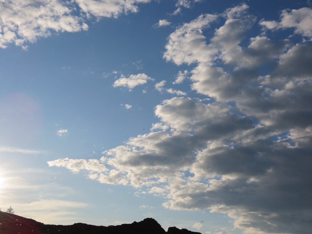 МИРНОЕ НЕБО ЛЕТА 2021 ГОДА