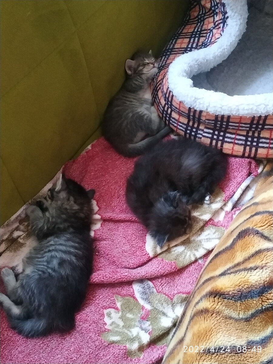 "спят усталые игрушки"))))))))))))))))))