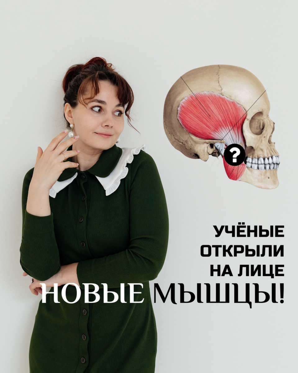 Ученые открыли новые мышцы на лице | Молодость без предела | Дзен