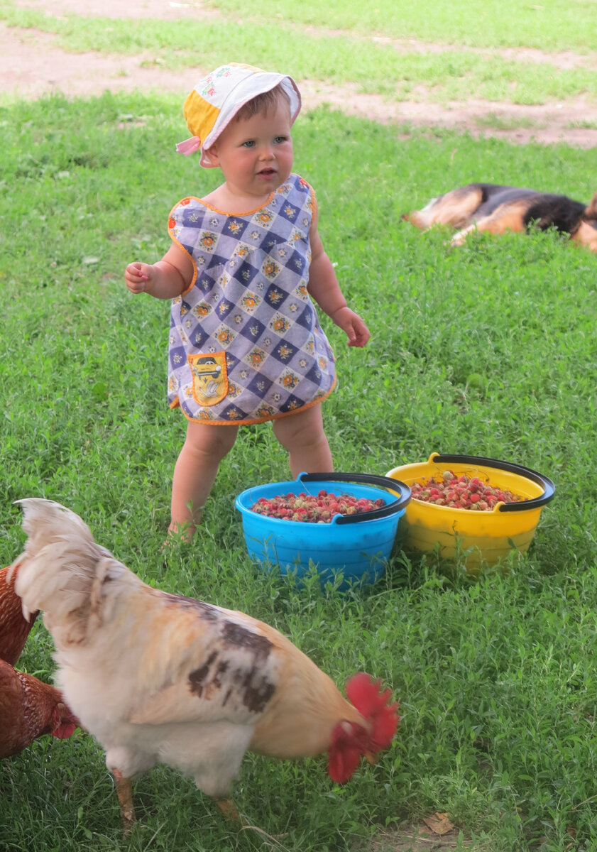 Настюшка и "ко" питается земляникой только с луга. 2016 год