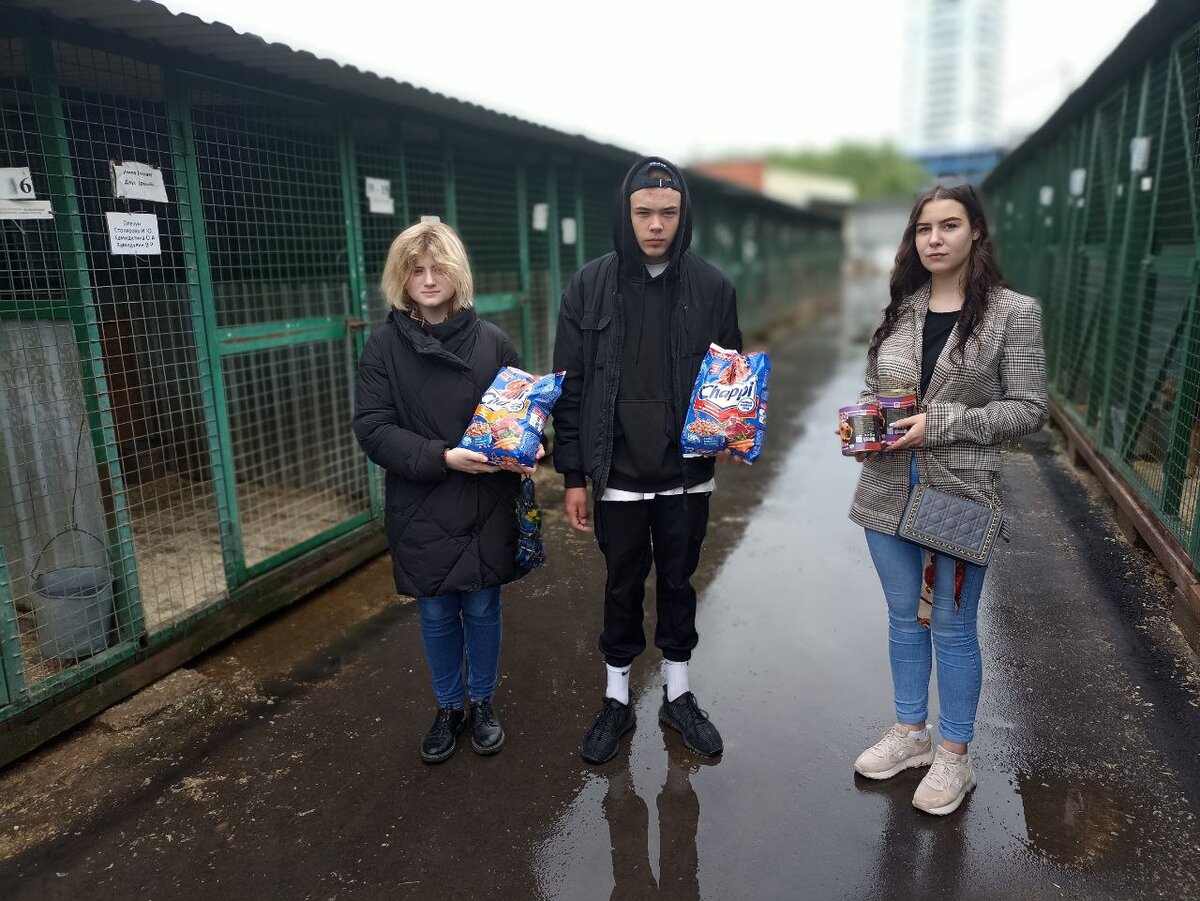 В каждом вольере живет два пса, может быть он ждет именно тебя!