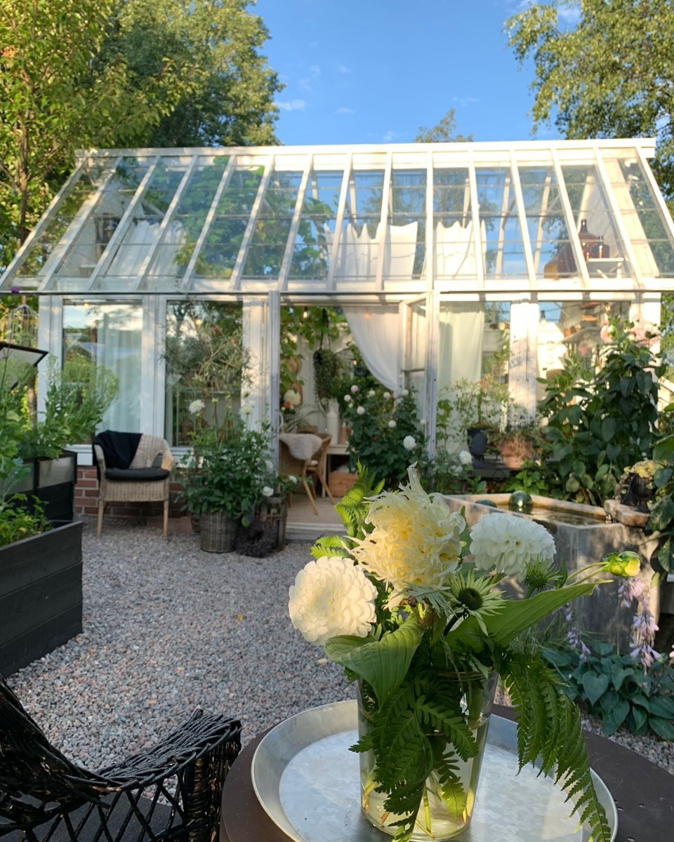 Соцсети блогера Паулины Доул