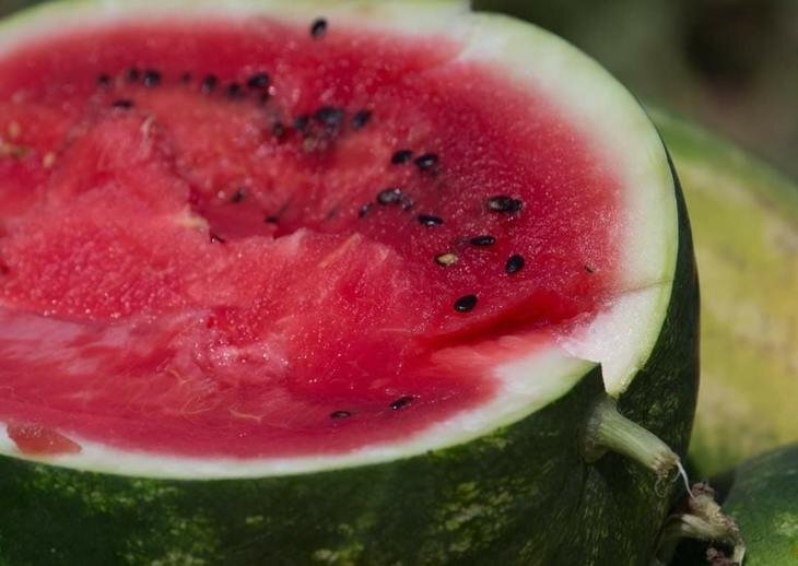    Сезон крымских арбузов как повод позаботиться о здоровье