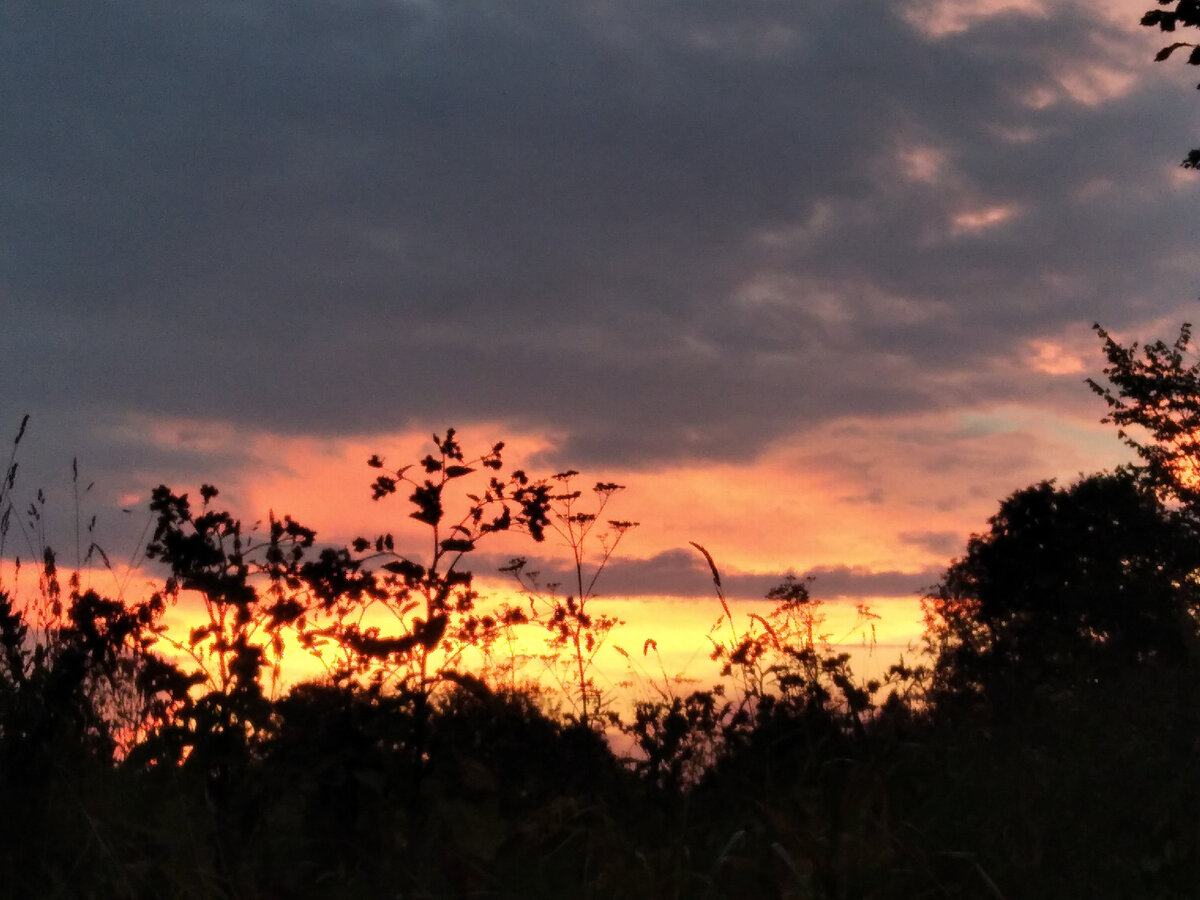 Такое насыщенное и без фильтров небо мне удалось снять с одного единственного ракурса, изрядно помучавшись.