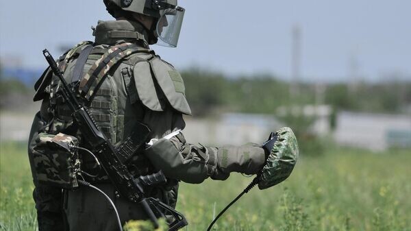   © РИА Новости . Константин Михальчевский