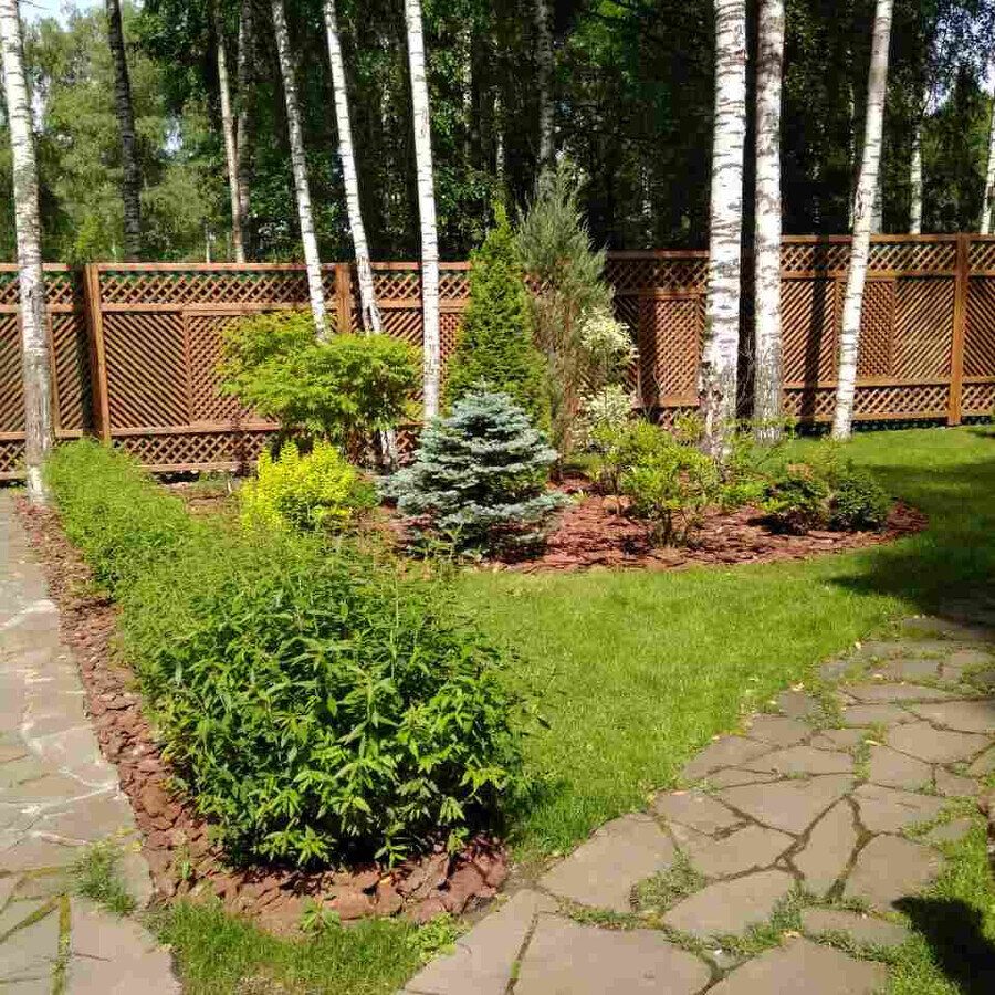 Яндекс-картинки. 