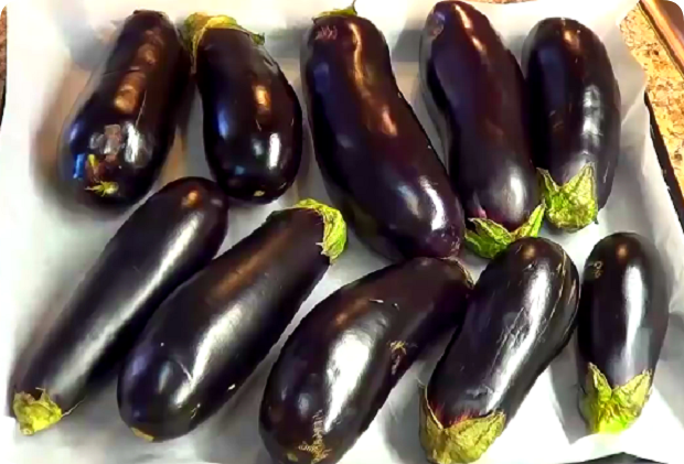 ПОДПИШИТЕСЬ  НА  КАНАЛ!