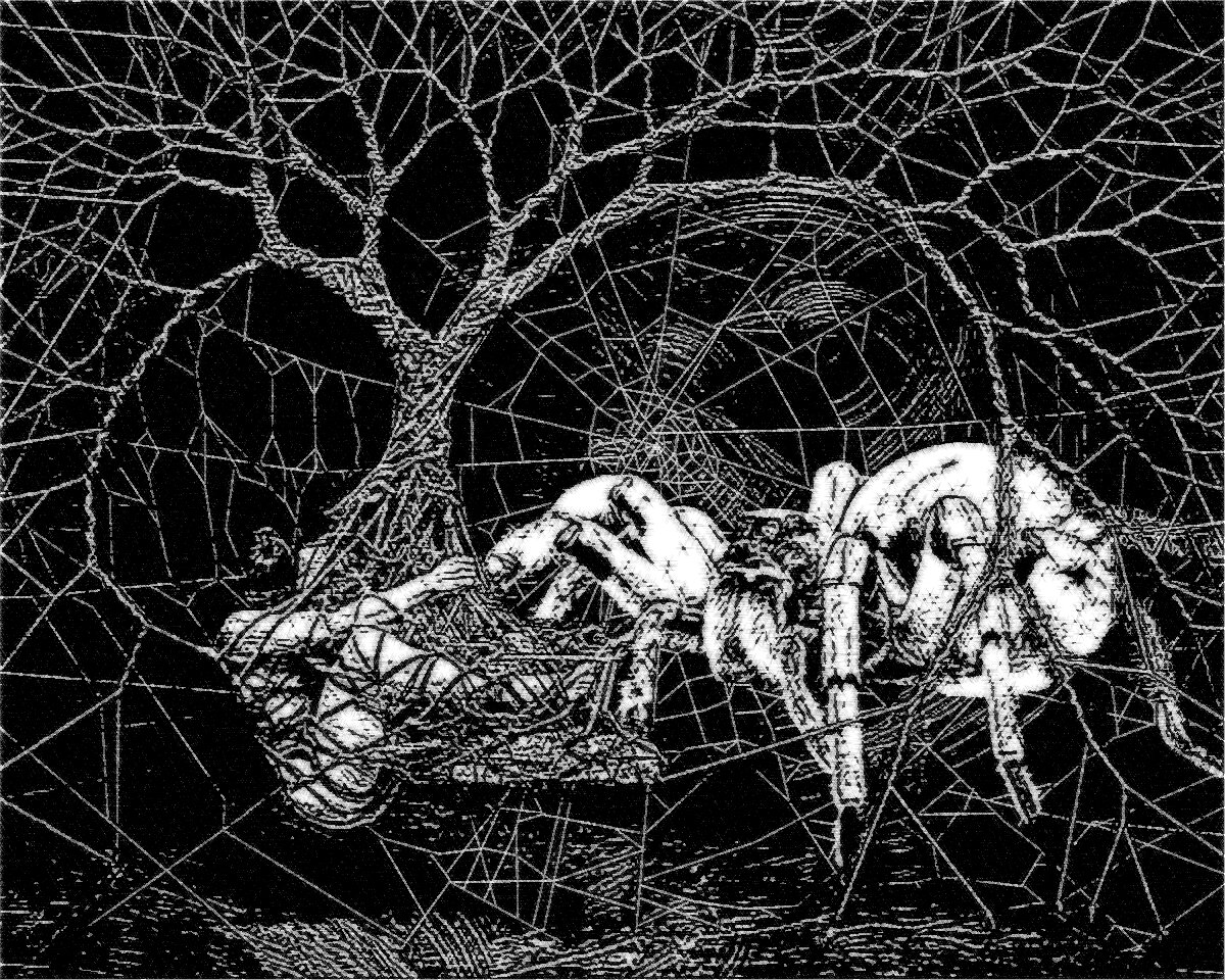 Картинка из открытого источника в интернете