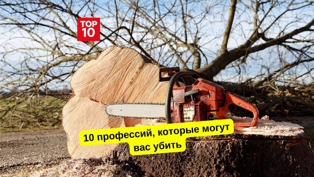 10 профессий, которые могут вас убить: Самые опасные профессии в мире |  Топ10 | Дзен