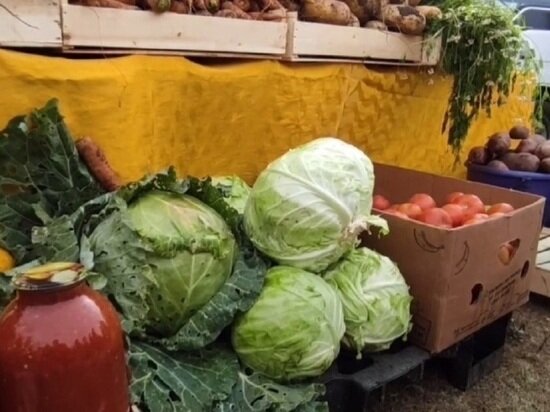     кадр из видео «МК в Чите»