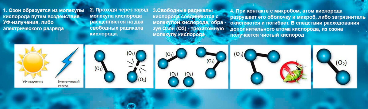 Сколько молекул образуется