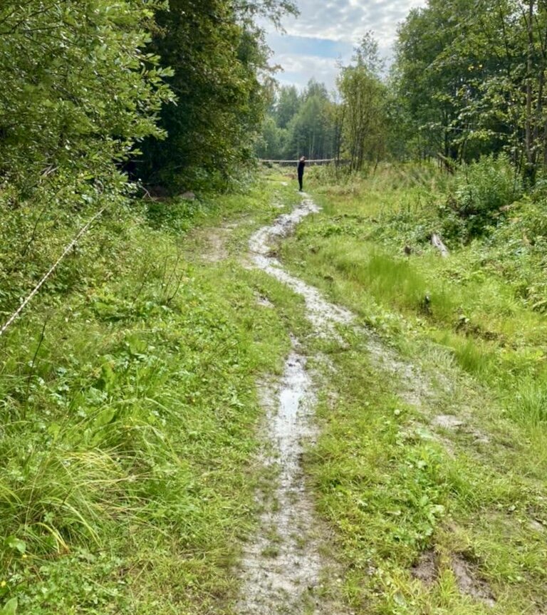старт проекта 