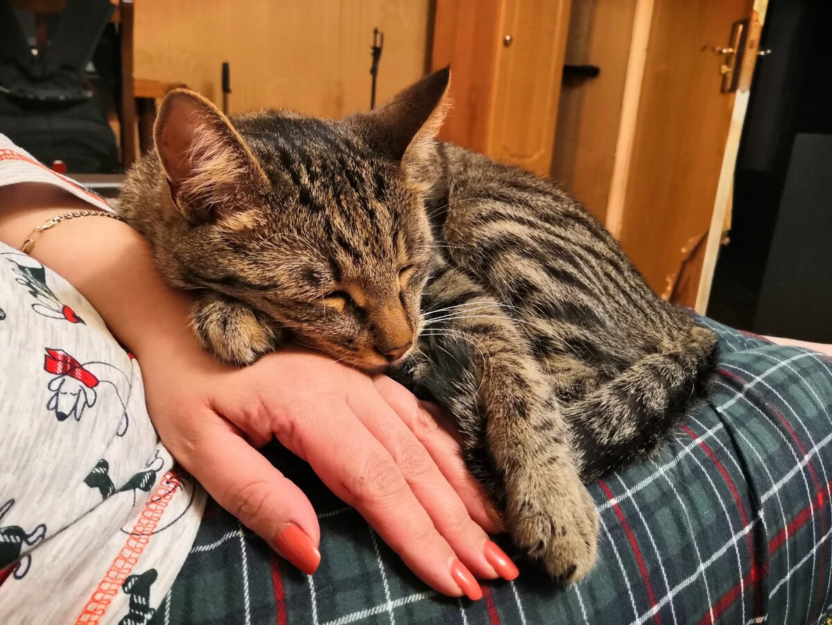 Моя душа Гризли. У нас с ним особые отношения. Он доверяет мне больше всех.