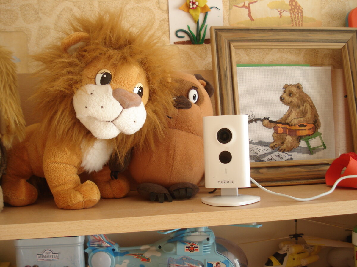 Ещё одно типичное применение камеры для дома - смотреть за детьми (за работой няни для младшего, за тем пришел ли из школы старший)