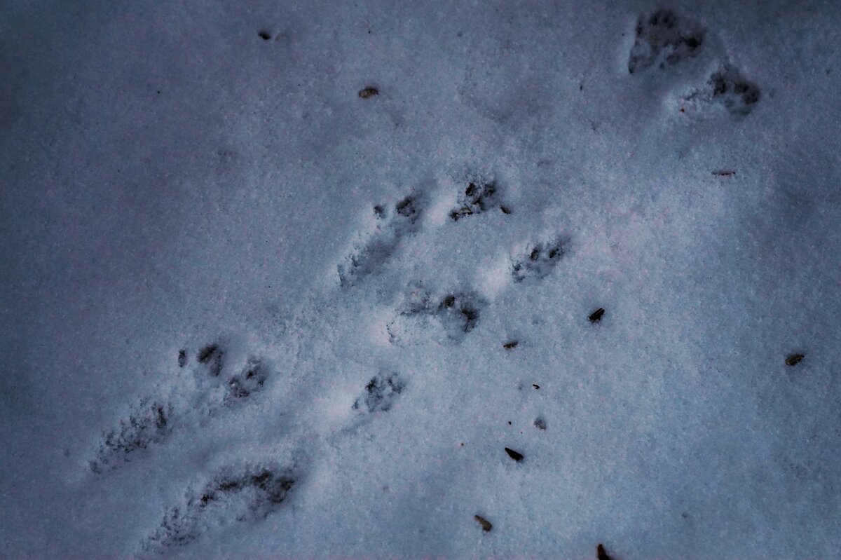 Видимо, я себя следопытом почувствовала тогда))