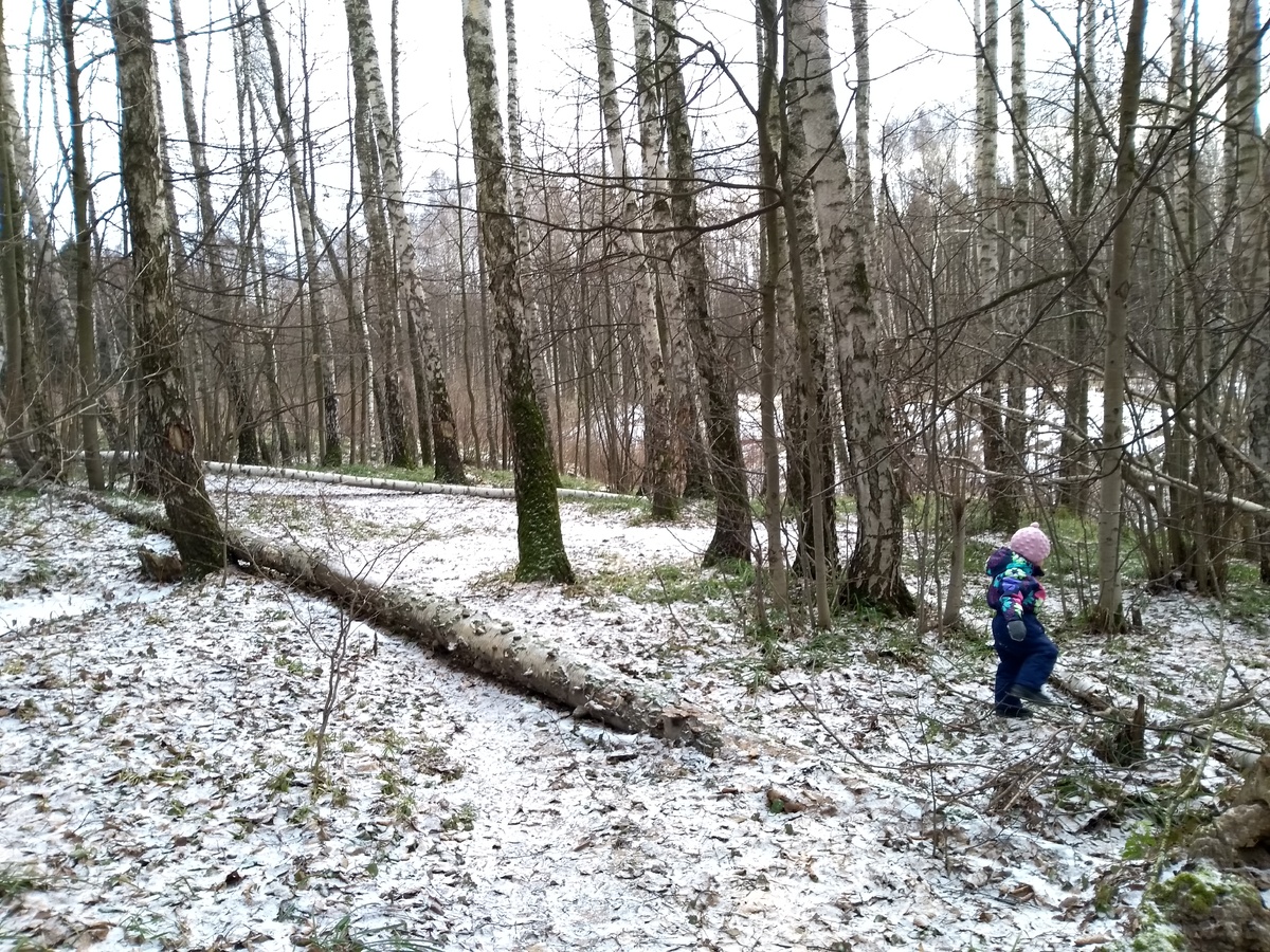 "Там, на неведомых дорожках"