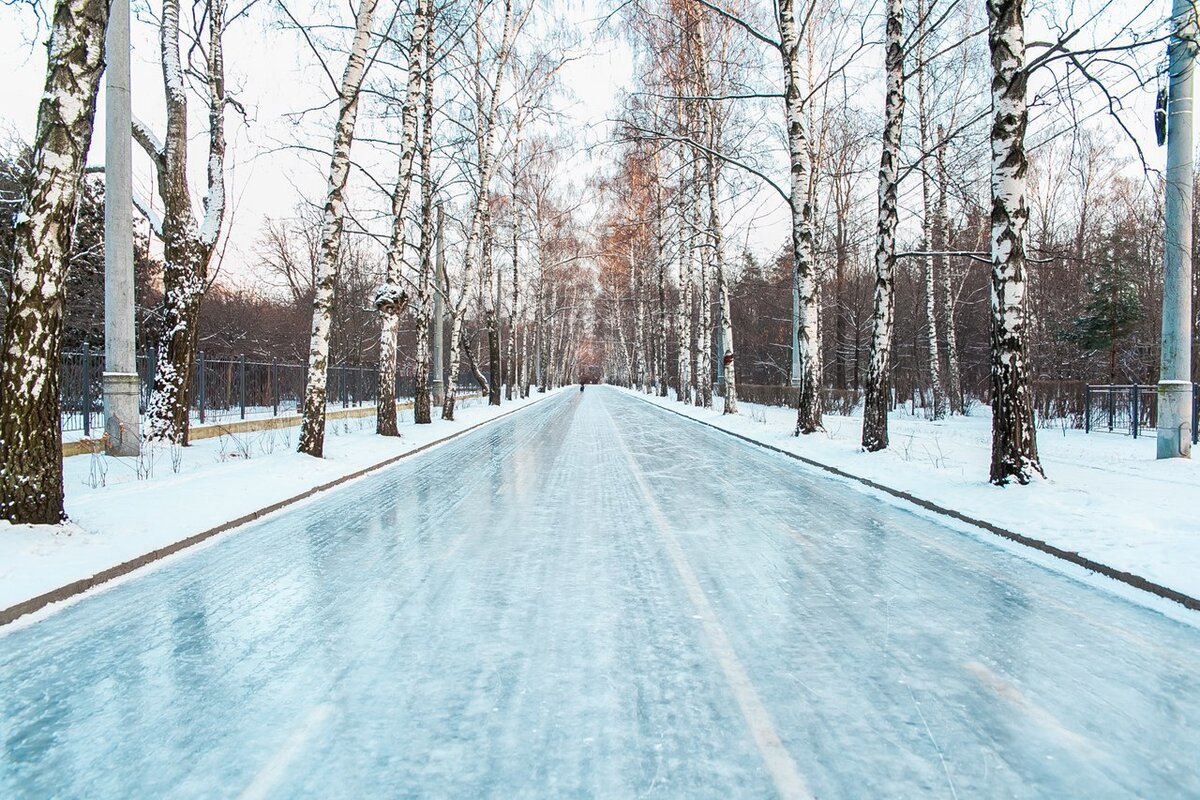 Парк в сокольниках каток