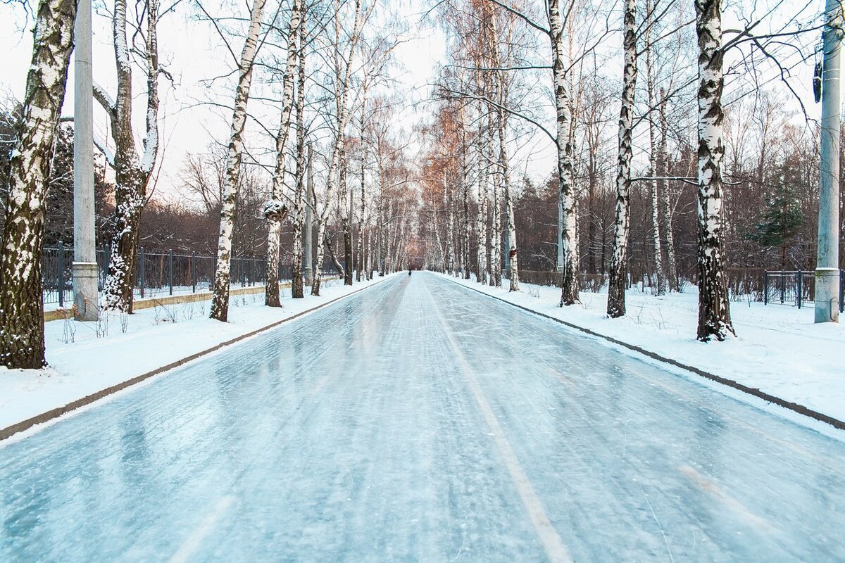 Сокольники каток гигант