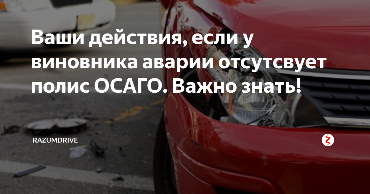 Виновник аварии без ОСАГО. У виновника нет ОСАГО. ДТП без полиса ОСАГО У виновника.