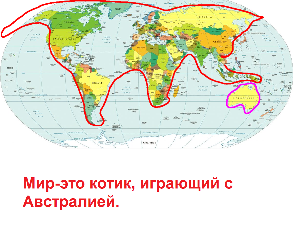 Карта мира это котик играющий с австралией