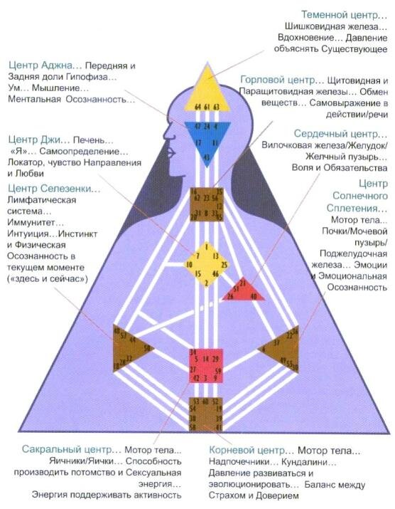 А у каждой активации ворот есть соответствие аминокислотам (ну, там на подумать: 64 ворот, 64 кодона ДНК...)